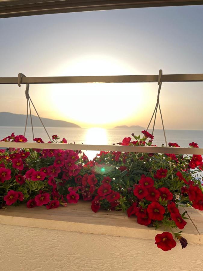 Vlorë Lotus Apartments מראה חיצוני תמונה