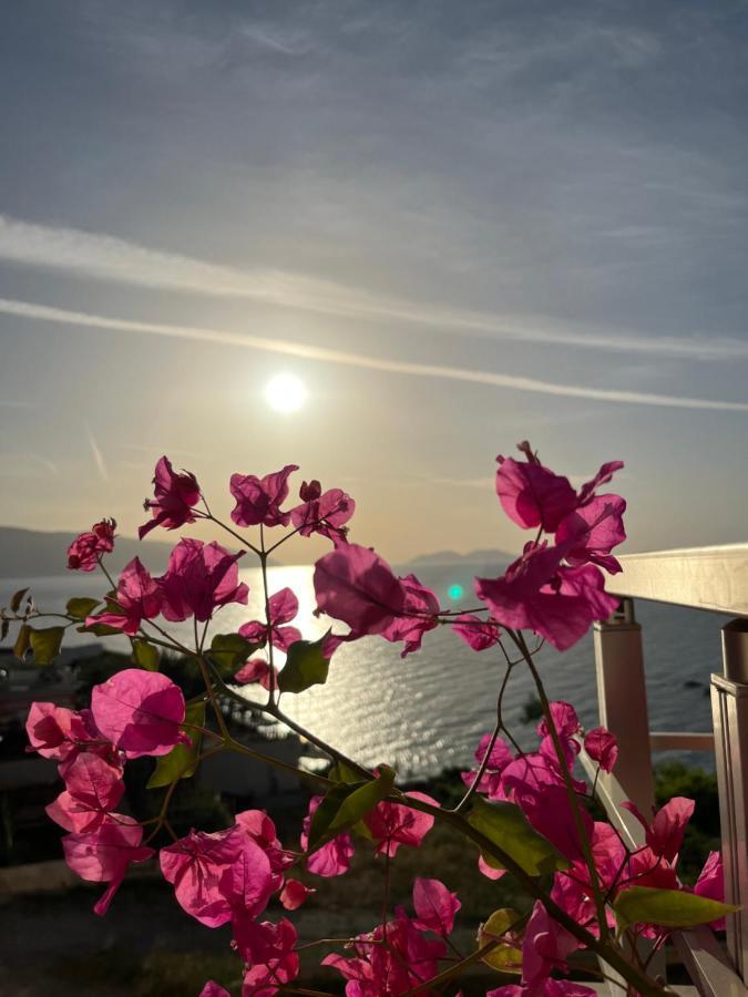 Vlorë Lotus Apartments מראה חיצוני תמונה